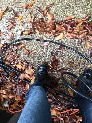 R.Allen's Lawn Care, Landscaping,and Complete Yard Maintenance