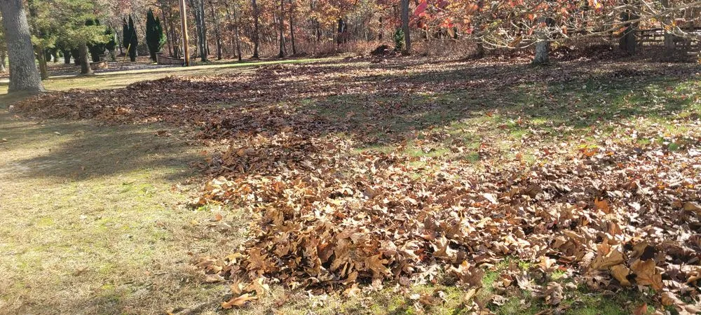 Reliable yard cleanup service for outdoor upgrades in Freehold, NJ by Ralph's Landscaping & Lawn care