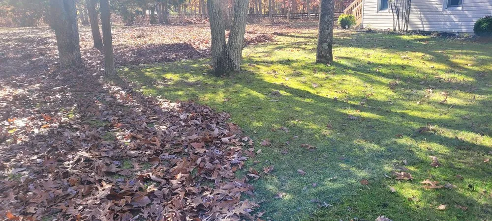 Affordable yard cleanup service for outdoor upgrades in Freehold, NJ by Ralph's Landscaping & Lawn care