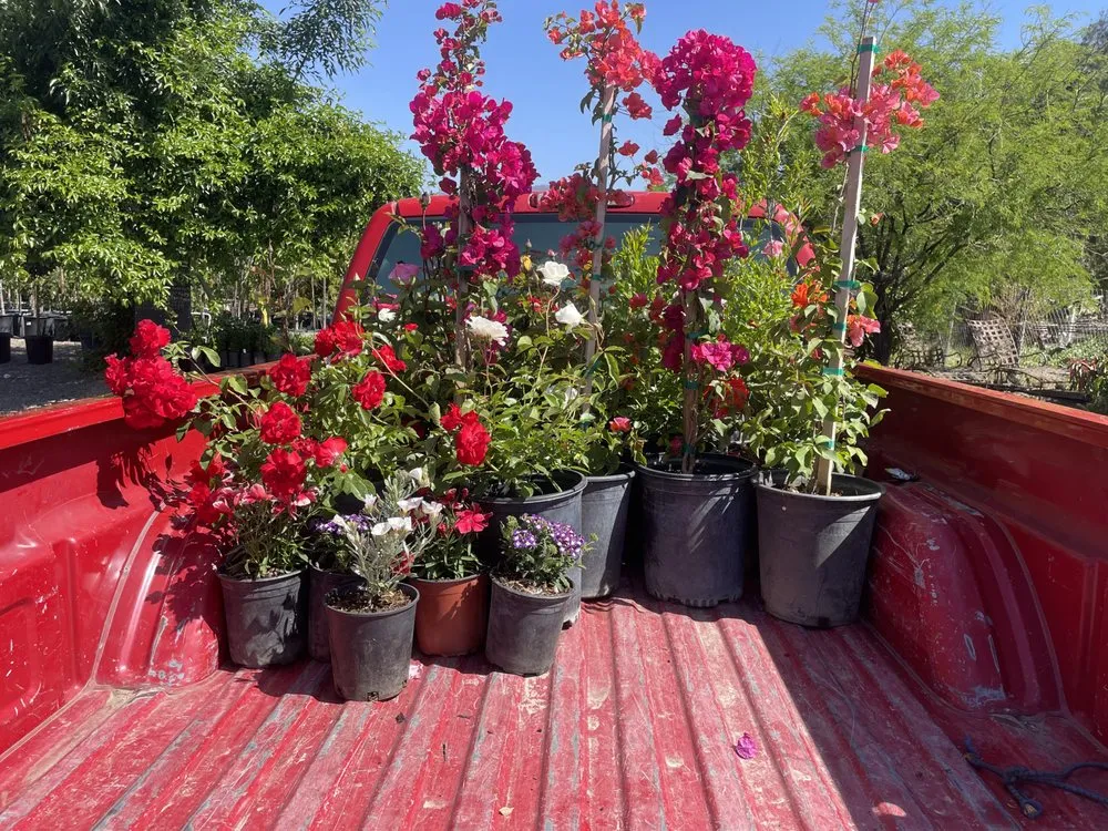 Reliable landscaping services experts serving San Bernardino, CA - Ralphs Nursery