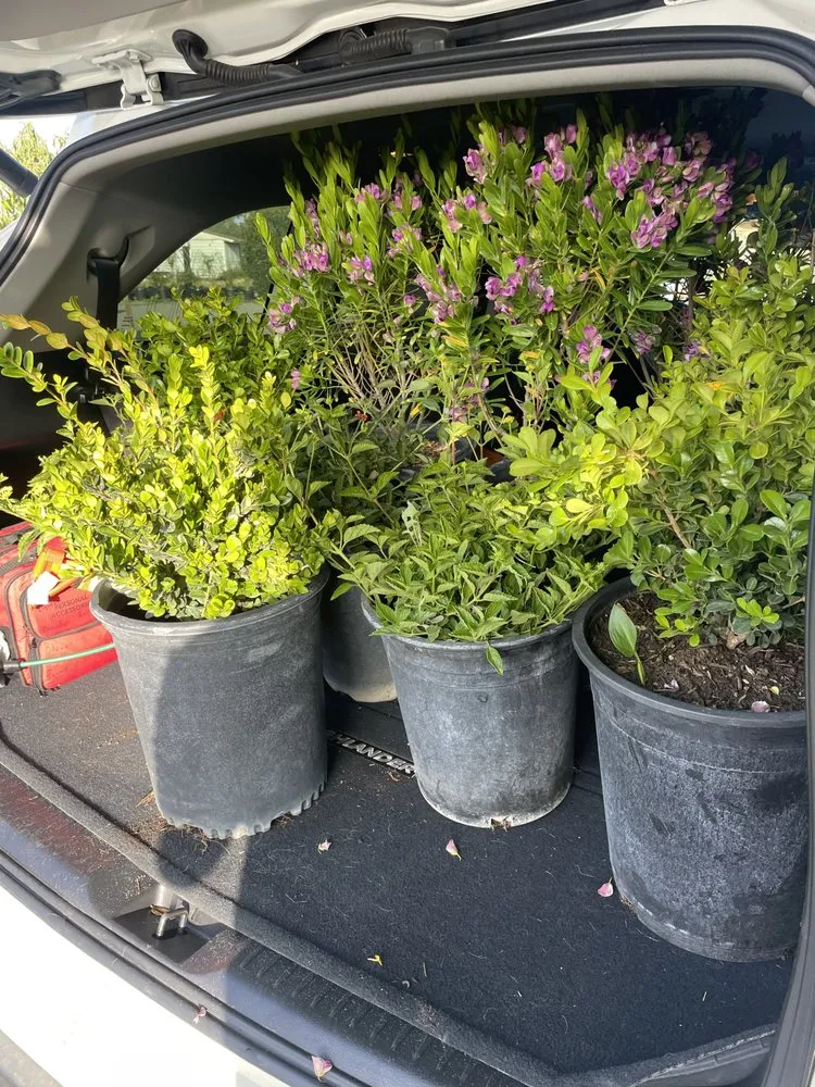 Local landscape design in San Bernardino, CA - Ralphs Nursery