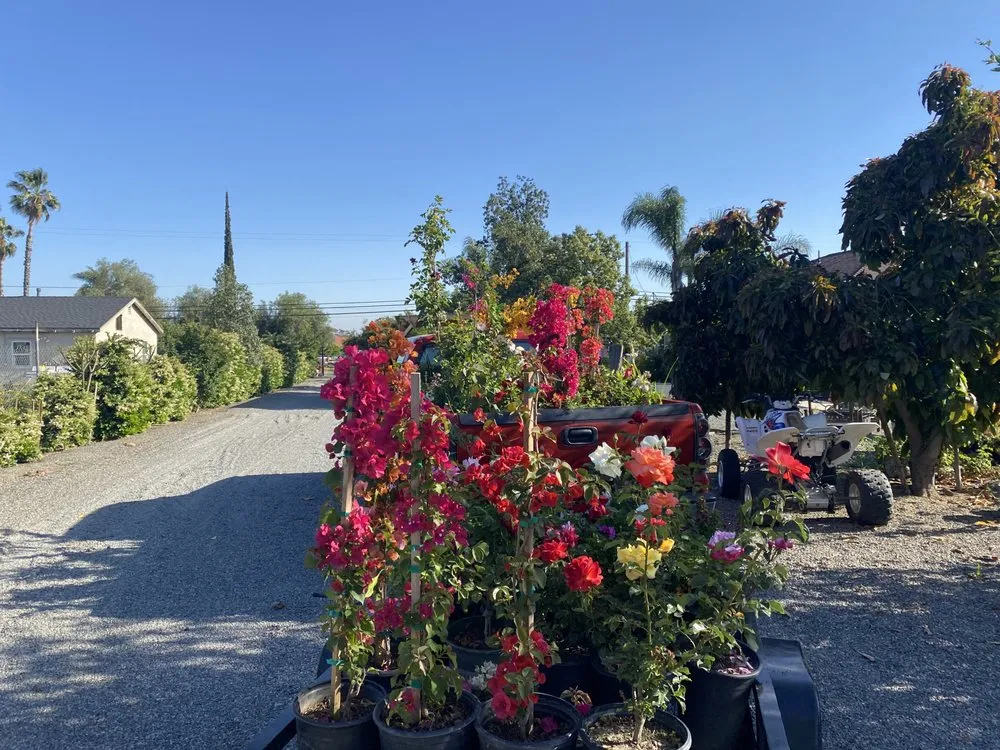 Reliable garden landscaping with custom design in San Bernardino, CA by Ralphs Nursery