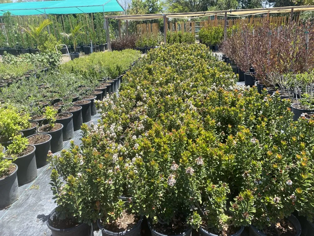 Trusted outdoor landscaping for residential properties across San Bernardino, CA - Ralphs Nursery