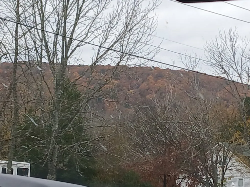 Local yard cleanup service in Independence, MO by Rals Landscape