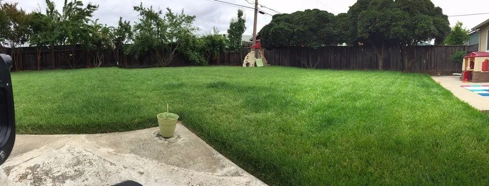 Expert yard maintenance experts serving Morgan Hill, CA - Ralston Landscaping