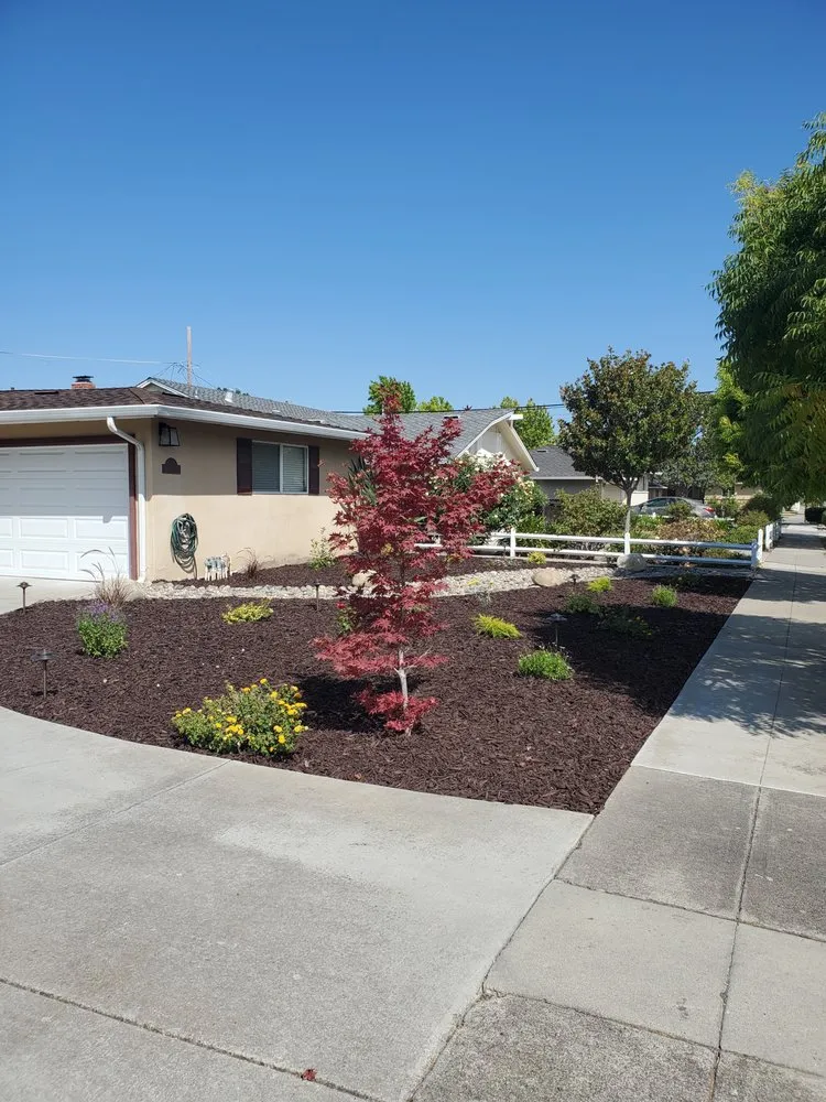 Local residential landscaping in Morgan Hill, CA - Ralston Landscaping