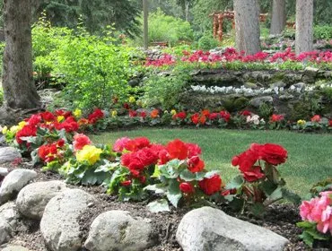 Affordable lawn mowing service for beautiful yards in Denton, TX by Ram-Bell Landscaping