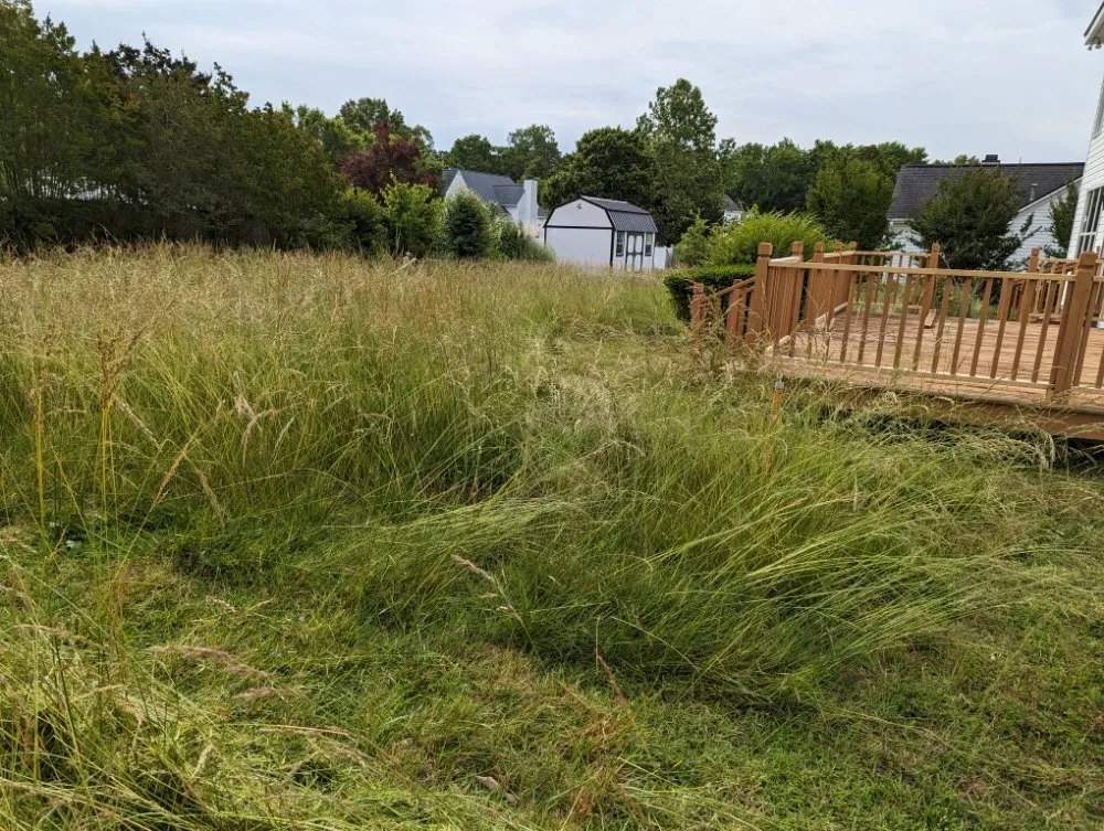 Professional outdoor landscaping for year-round maintenance across Ramseur, NC - Ram Cleaning Solutions