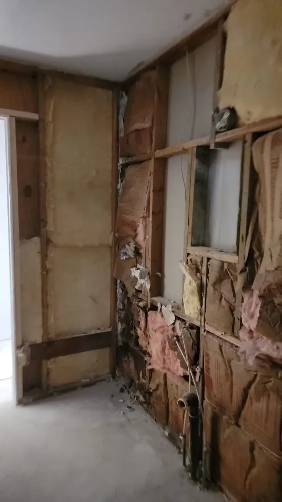 Professional landscaping services experts serving Ramseur, NC - Ram Cleaning Solutions