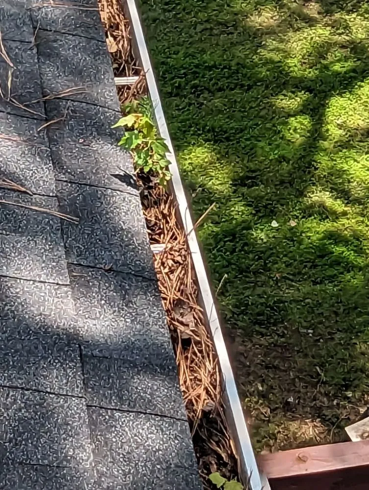 Professional landscape installation in Ramseur, NC - Ram Cleaning Solutions