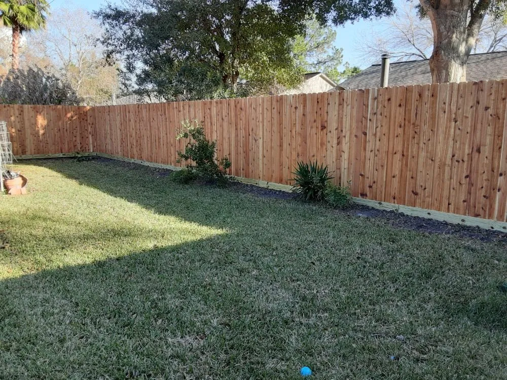 Local outdoor landscaping for year-round maintenance across Sugar Land, TX - Ram Landscape and Maintenance