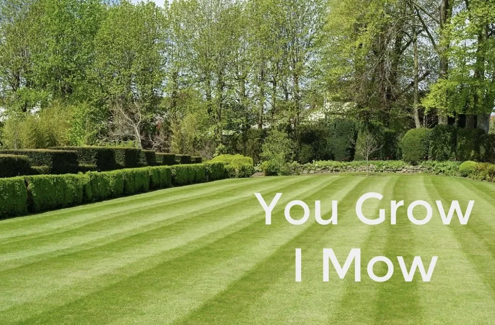 Expert lawn care service for residential properties in Canonsburg, PA by Ram Landscaping