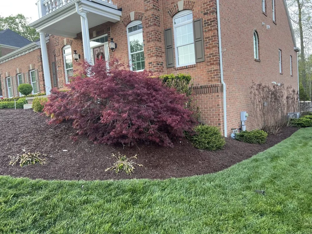 Reliable yard cleanup service in Canonsburg, PA by Ram Landscaping
