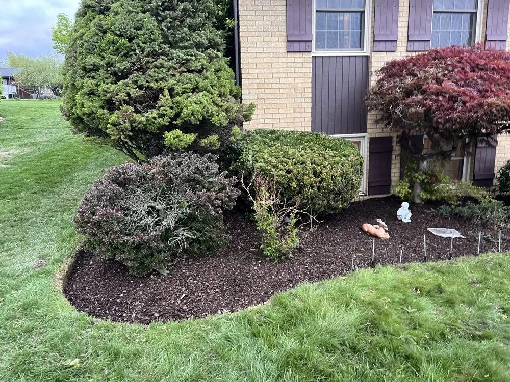 Trusted yard cleanup service with custom design in Canonsburg, PA by Ram Landscaping