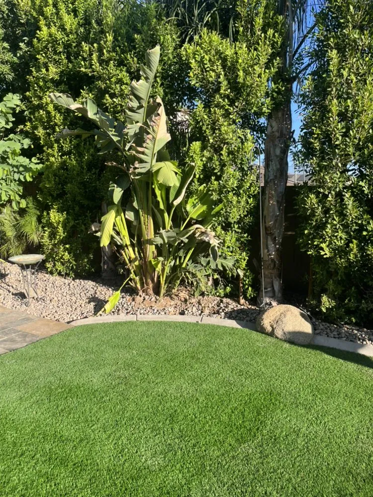 Trusted landscaping services for year-round maintenance across Tempe, AZ - RAM Landscaping Construction