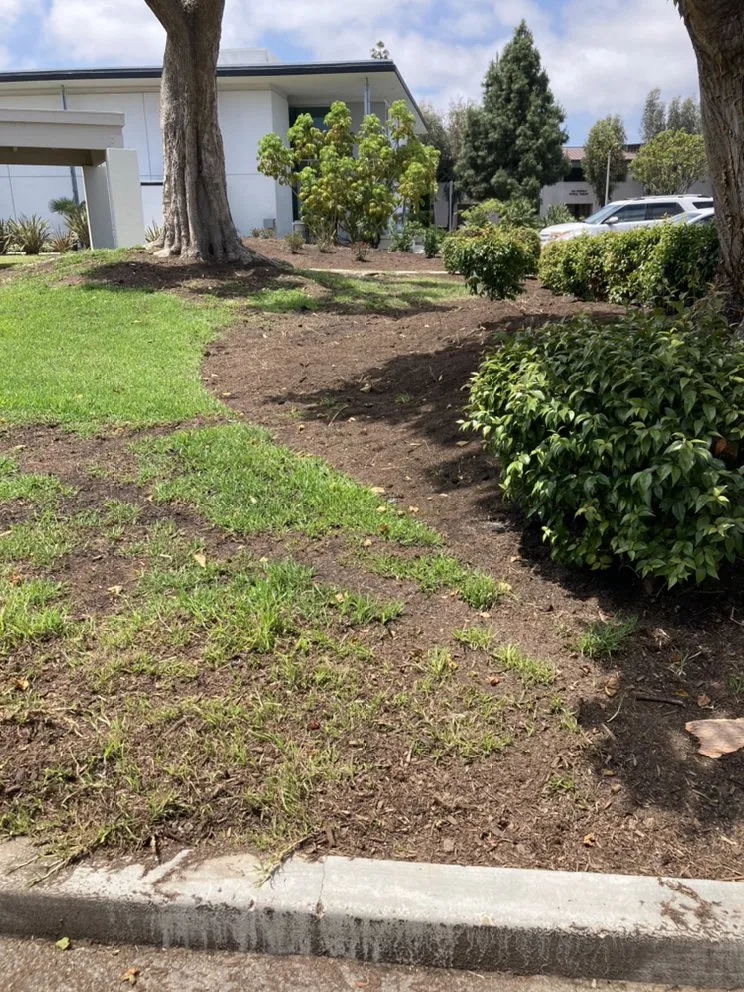 Affordable residential landscaping for residential properties in Tustin, CA by RAM Landscaping