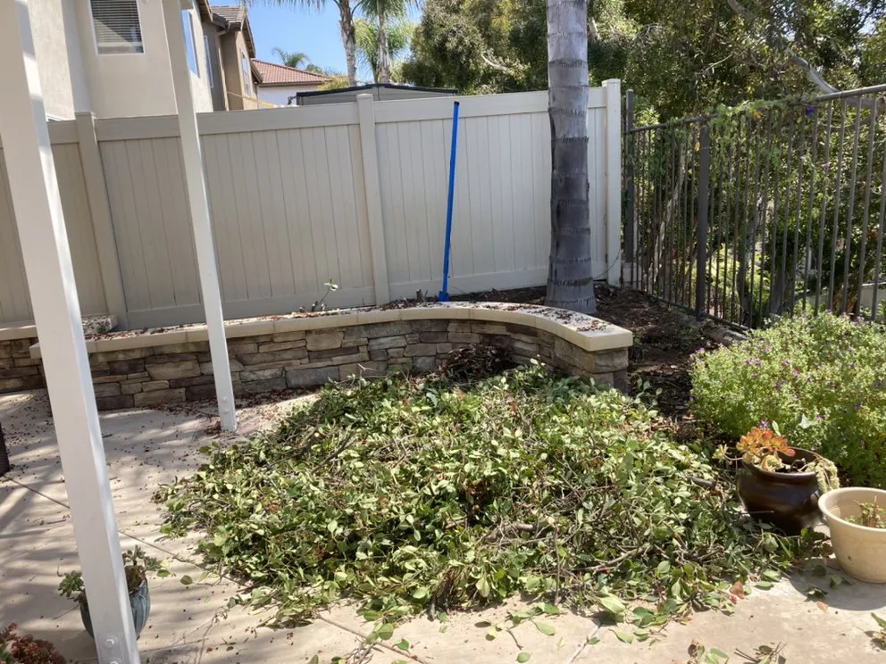 Affordable landscape design in Tustin, CA - RAM Landscaping