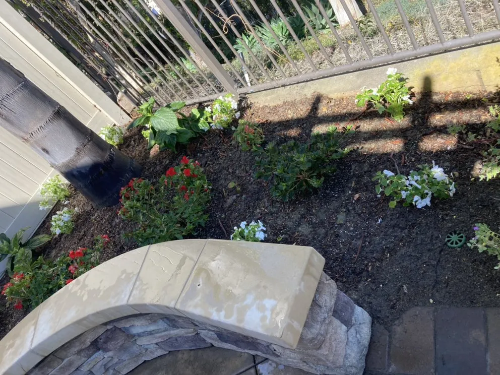 Professional outdoor landscaping in Tustin, CA by RAM Landscaping