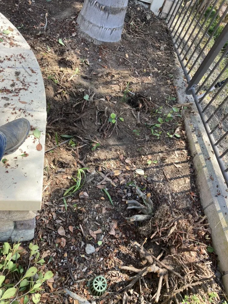 Reliable outdoor landscaping for beautiful yards in Tustin, CA by RAM Landscaping