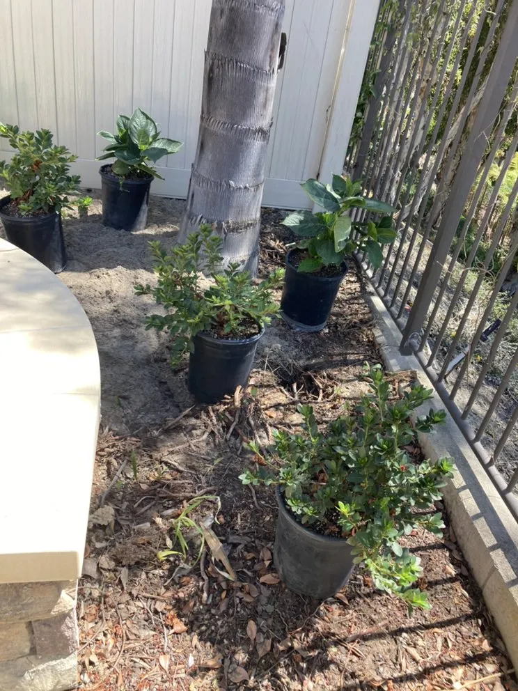 Expert landscape design in Tustin, CA - RAM Landscaping