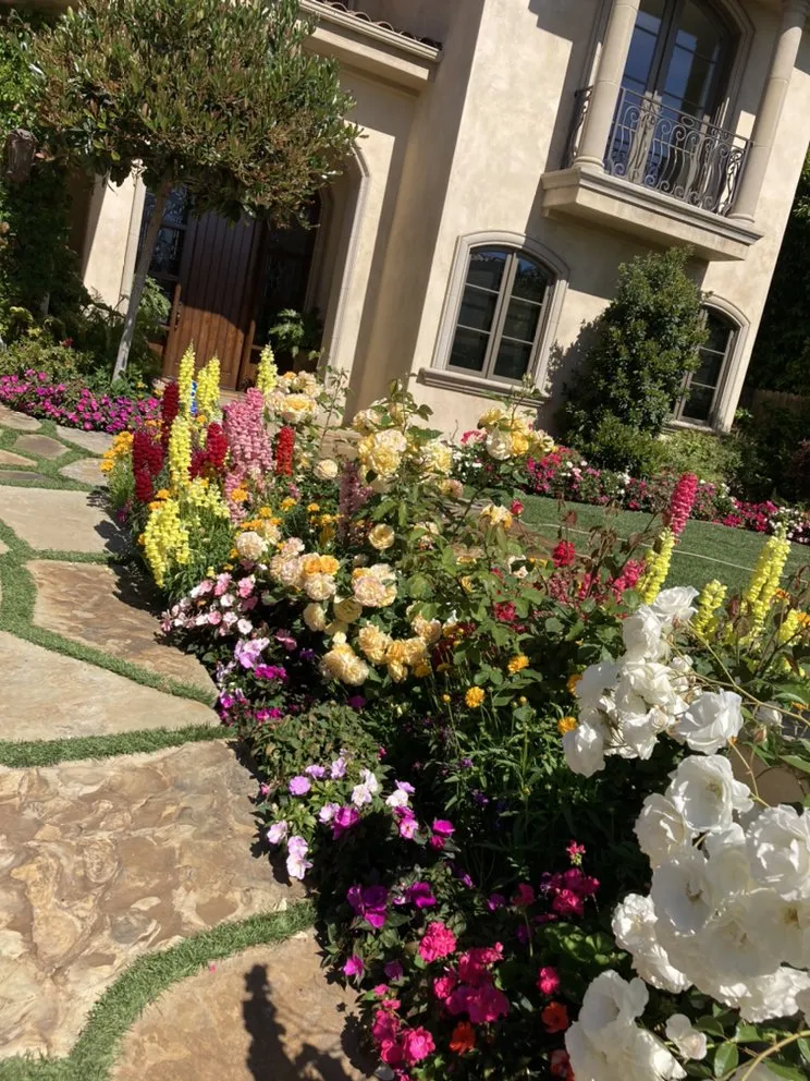 Top-rated landscaping services in Tustin, CA - RAM Landscaping