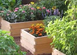 Reliable landscape design in Tustin, CA by RAM Landscaping