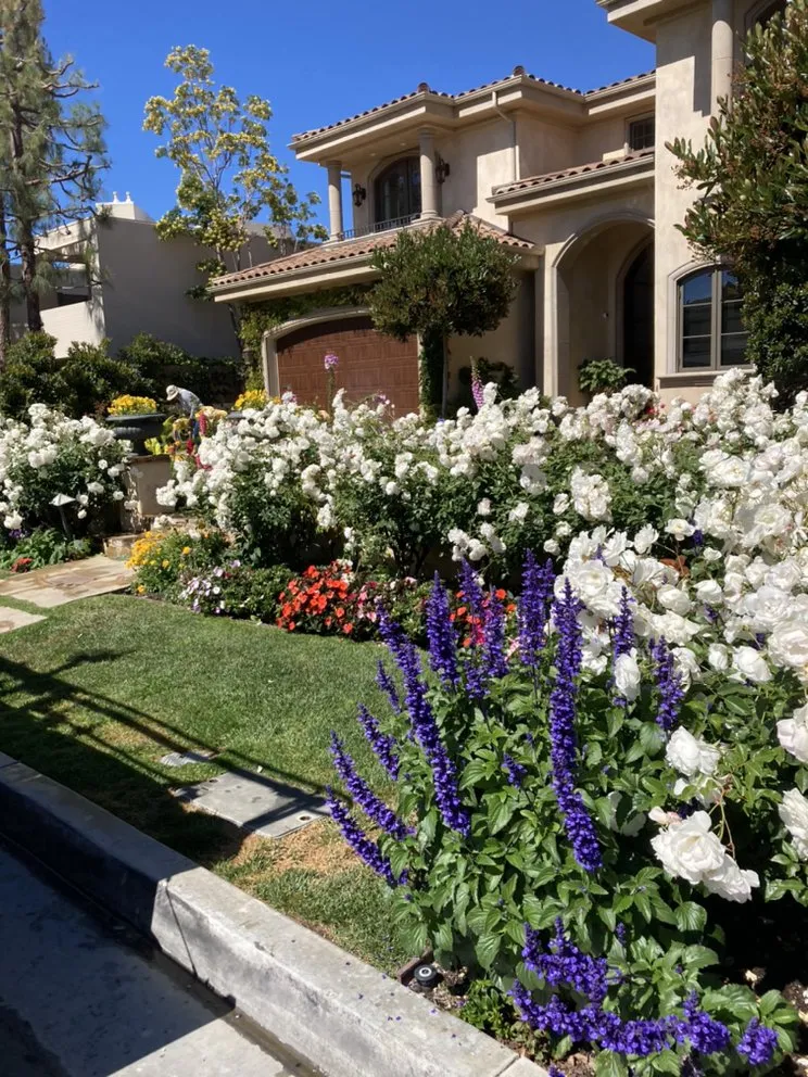 Affordable landscape installation in Tustin, CA - RAM Landscaping