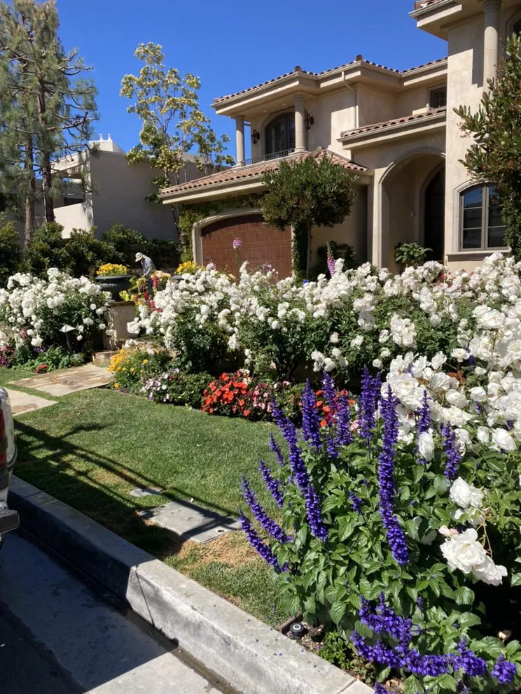 Professional garden landscaping in Tustin, CA by RAM Landscaping
