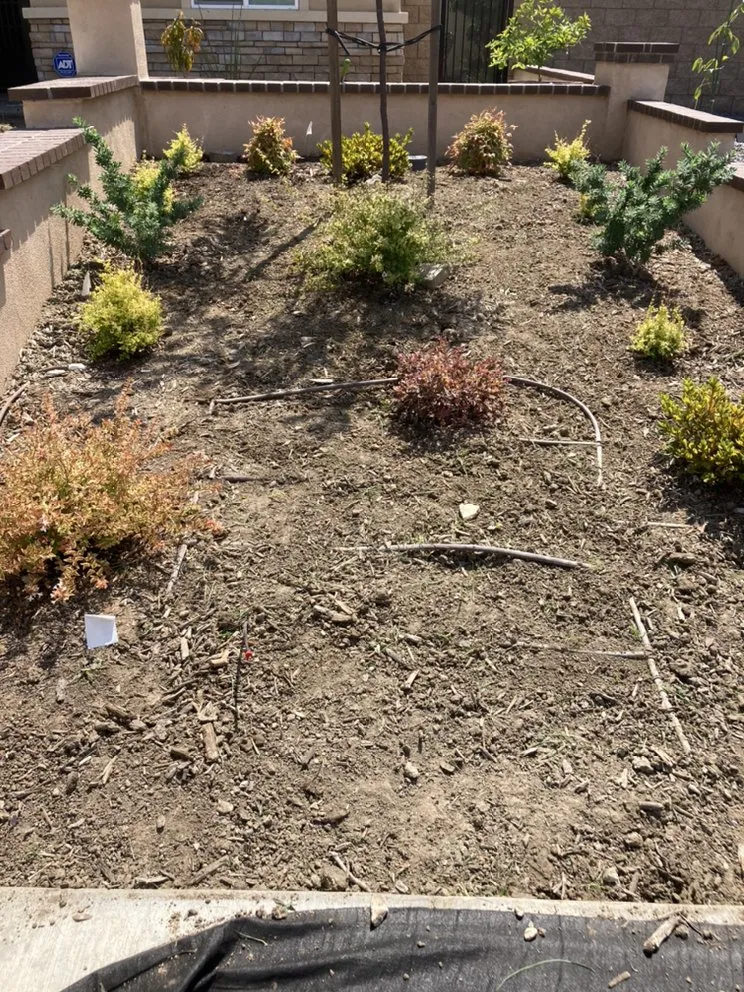 Local garden landscaping for homes in Tustin, CA by RAM Landscaping