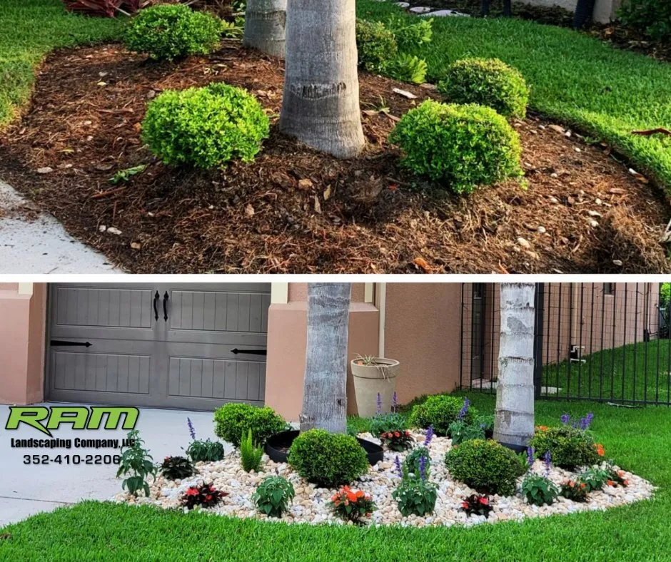 Local landscaping services in Wesley Chapel, FL - RAM Landscaping