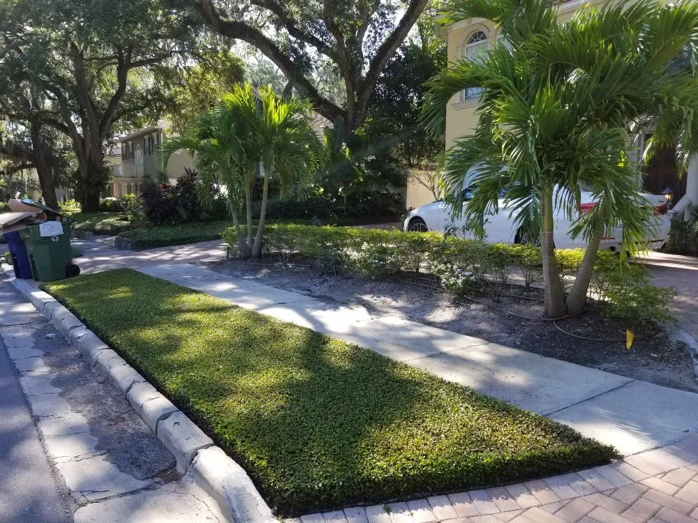 Top-rated garden landscaping for beautiful yards across Wesley Chapel, FL - RAM Landscaping