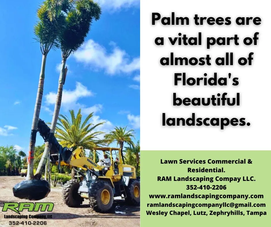 Local yard maintenance for outdoor upgrades in Wesley Chapel, FL by RAM Landscaping