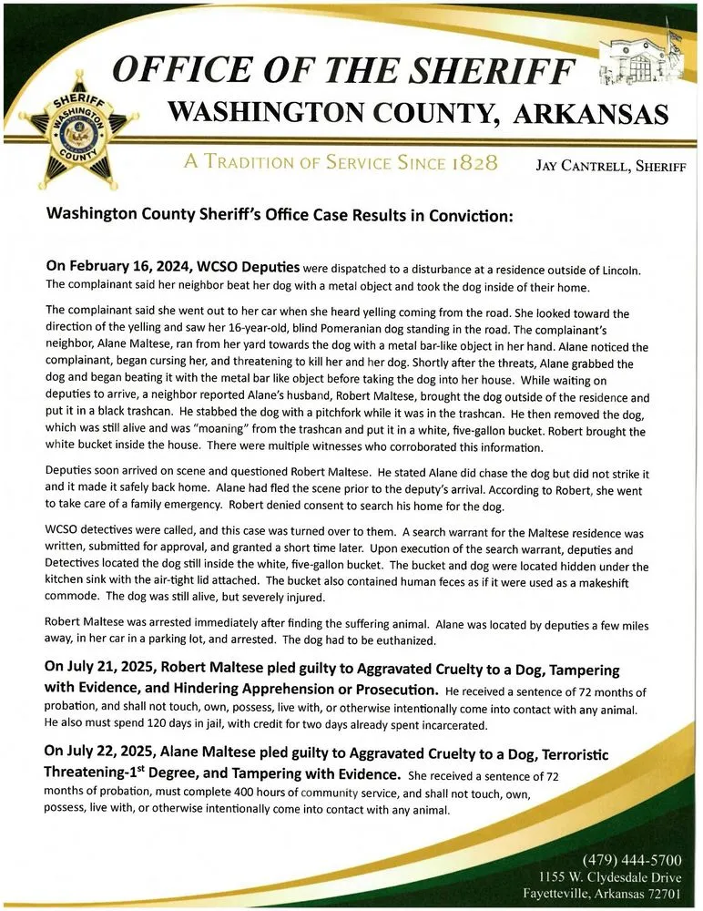 Reliable outdoor landscaping in Springdale, AR - RAM Lawn Service