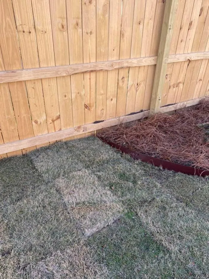 Affordable landscape design in Northport, AL - Ram99 Lawncare