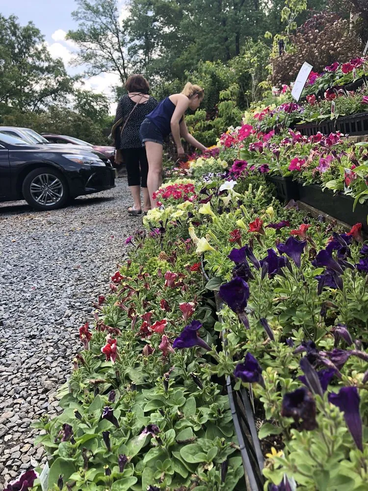 Custom landscape design for residential properties across Mount Laurel, NJ - Ramblewood Garden Center & Craft Shop