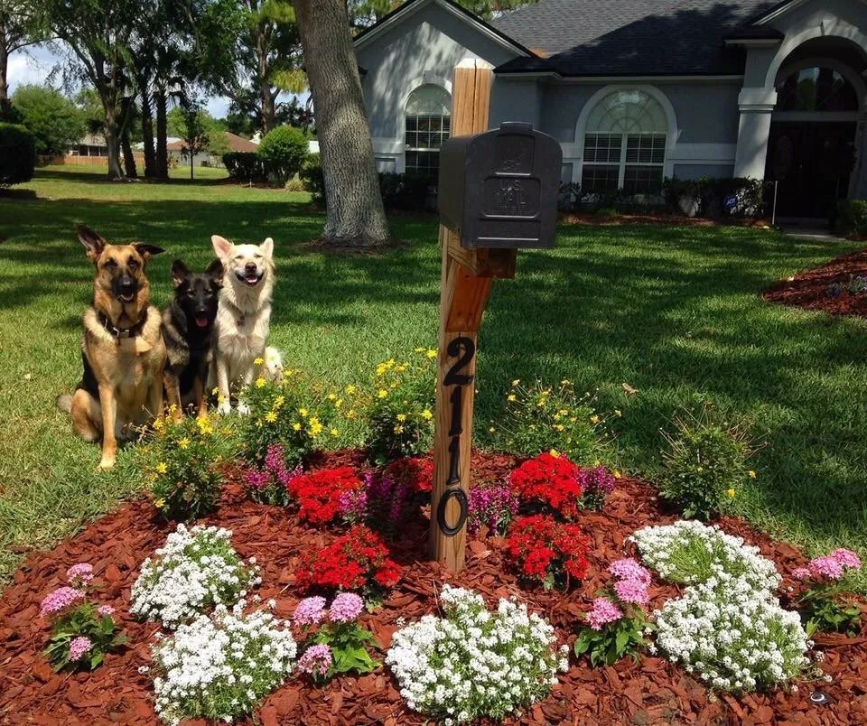 Professional yard cleanup service in Jacksonville, FL - Rambo's Affordable Lawn & Landscaping