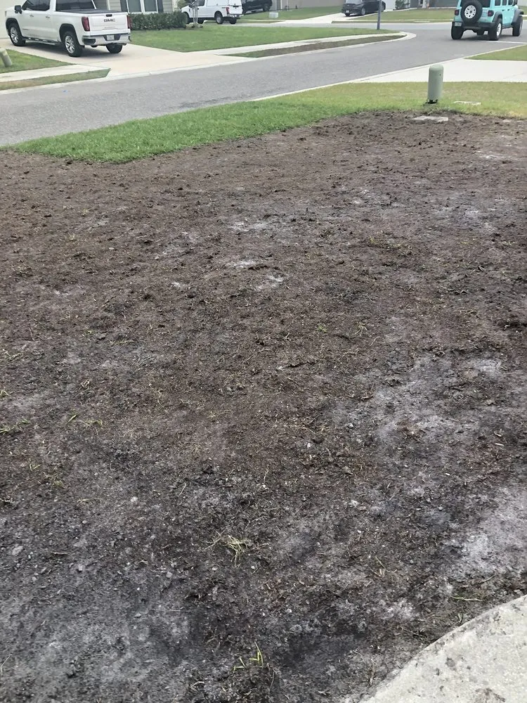 Trusted yard cleanup service in Jacksonville, FL by Rambo's Affordable Lawn & Landscaping