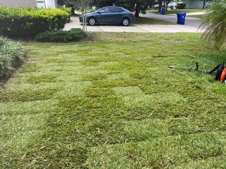 Reliable landscaping services experts serving Jacksonville Beach, FL - Rambo’s Lawn & Landscaping