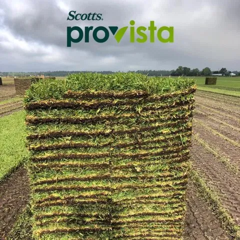 Custom yard maintenance for residential properties in Jacksonville Beach, FL by Rambo’s Lawn & Landscaping