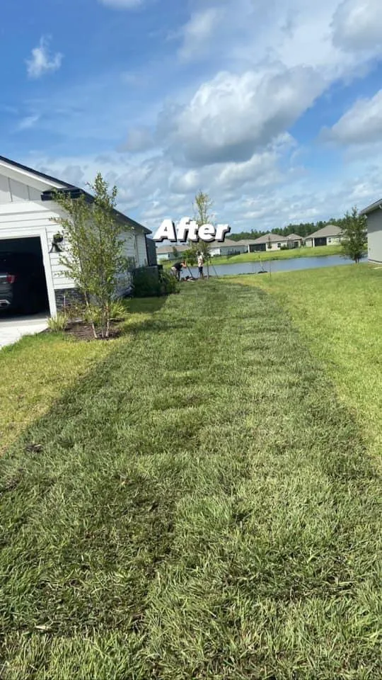 Affordable landscape installation for residential properties in Jacksonville Beach, FL by Rambo’s Lawn & Landscaping