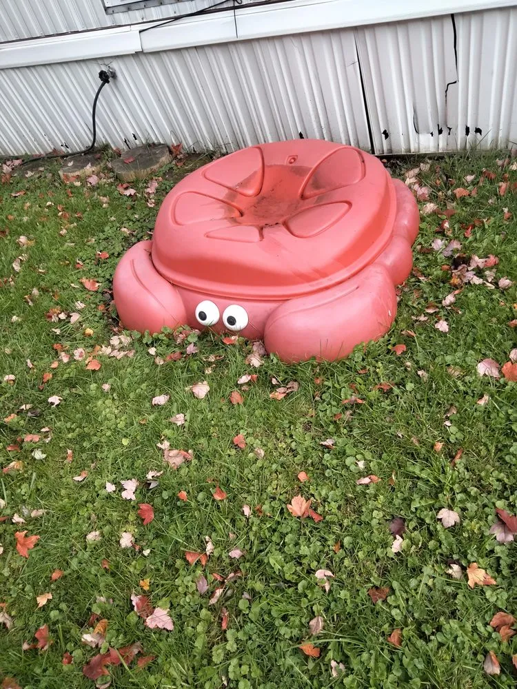 Expert lawn care service in Westland, MI - Rambos Moving Junk Removal and General Maintenance