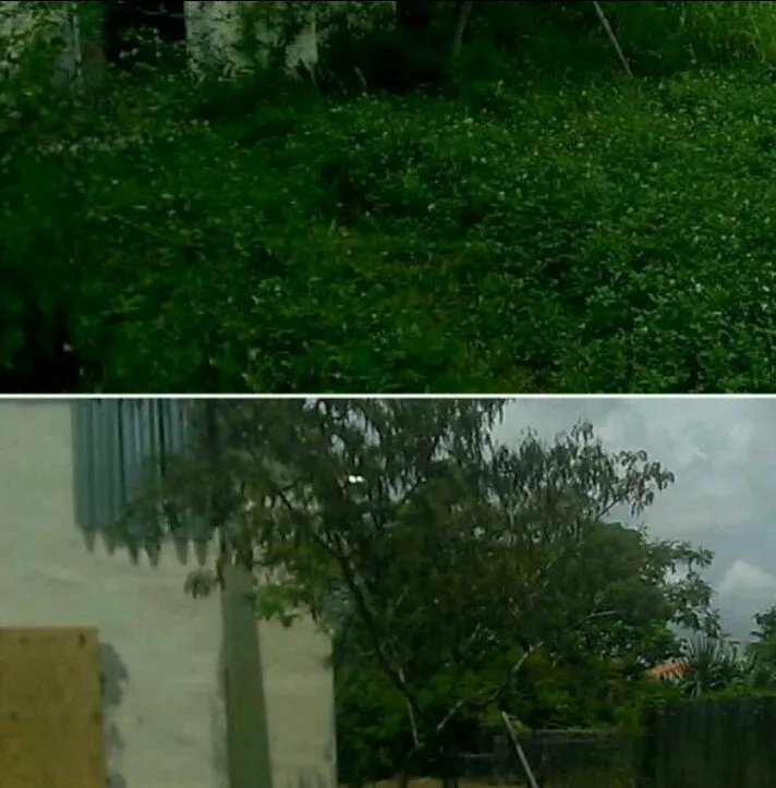 Affordable landscape installation in Miami, FL - Rambo's Property Preservation