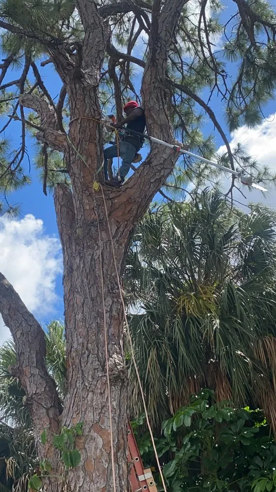 Reliable lawn care service in Miami, FL by Rambo's Property Preservation