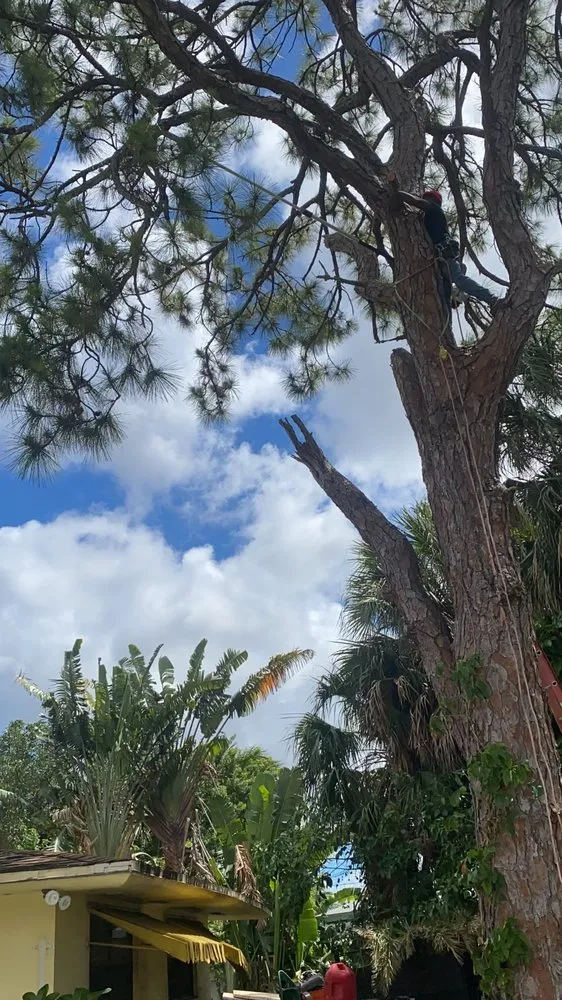 Trusted landscaping services in Miami, FL - Rambo's Property Preservation