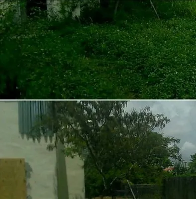 Rambo's Property Preservation Logo