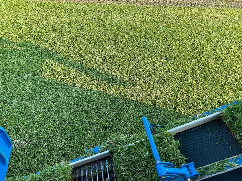 Expert lawn mowing service for year-round maintenance across Jacksonville, FL - Rambo's Sod & Mulch