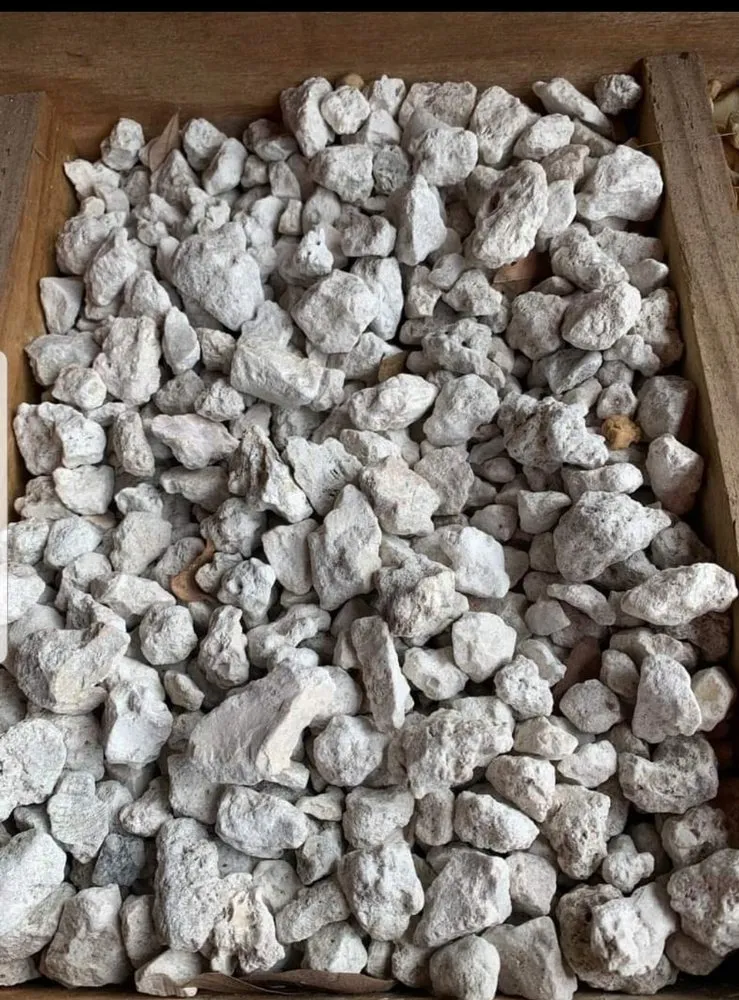 Local outdoor landscaping for outdoor upgrades in Jacksonville, FL by Rambo's Sod & Mulch