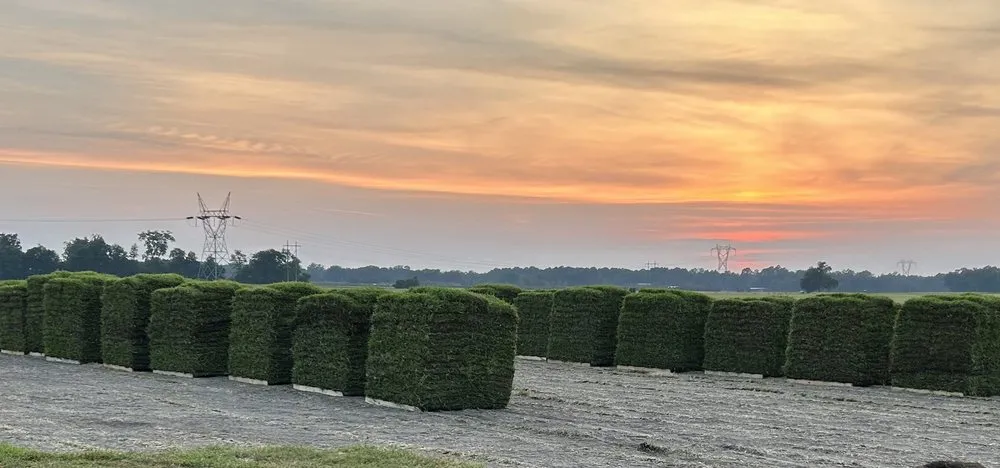 Reliable landscape design in Jacksonville, FL by Rambo's Sod & Mulch