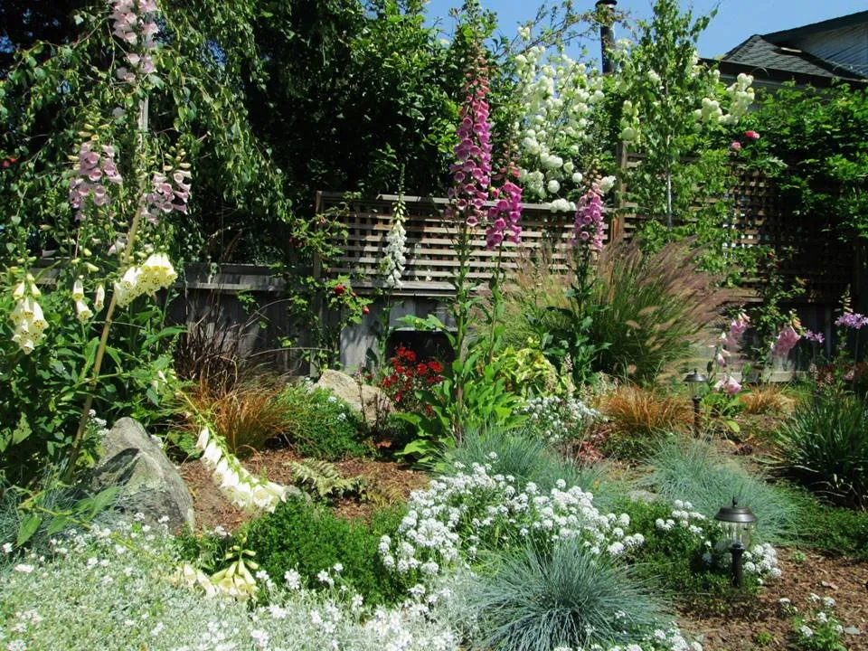 Local yard maintenance in San Francisco, CA - Rambunctious Gardens