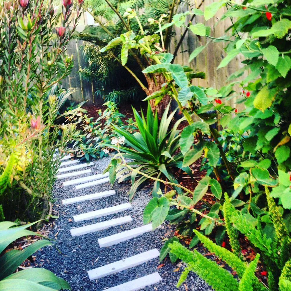 Custom yard maintenance in San Francisco, CA by Rambunctious Gardens